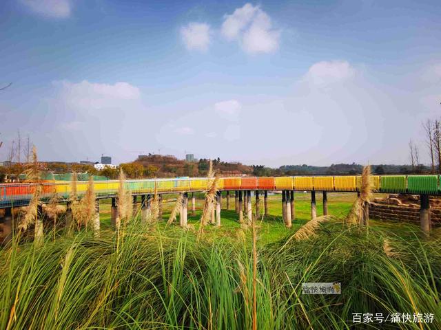 自贡最大的“彩虹桥”公园，等你来打卡！-15.jpg