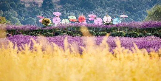 过年安排！四川21市州最全景区优惠攻略来了-7.jpg
