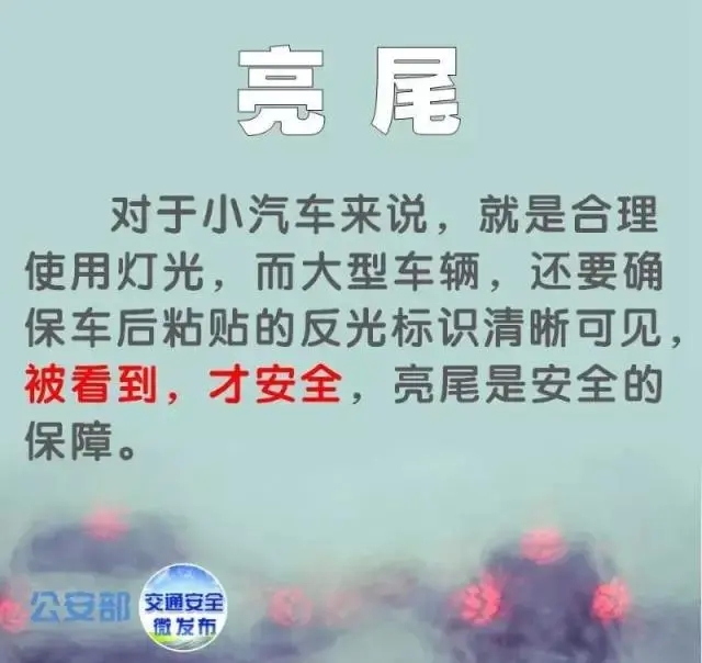 交通安全｜春运路上，如何安全出行？-37.jpg