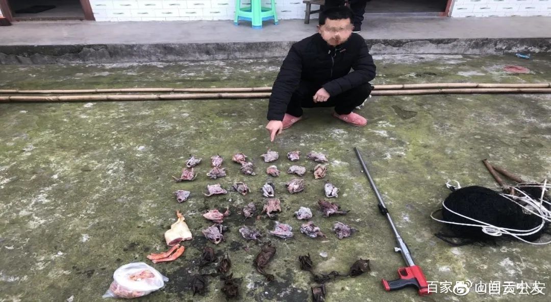 严打！自贡两男子非法狩猎野生动物被抓！-1.jpg