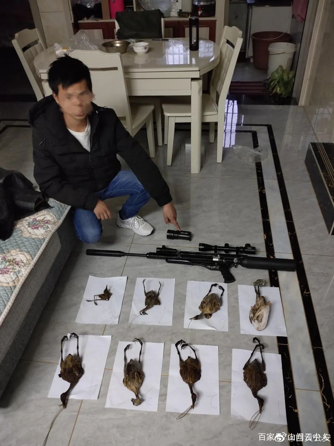 严打！自贡两男子非法狩猎野生动物被抓！-2.jpg