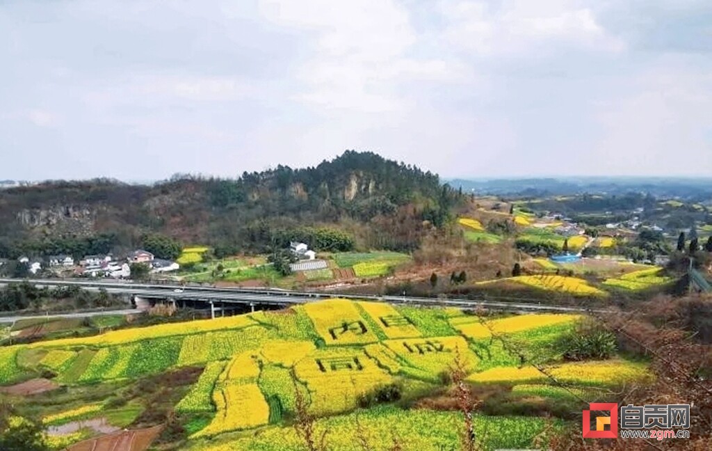 春游去哪？这份自贡“赏花地图”请收藏-3.jpg