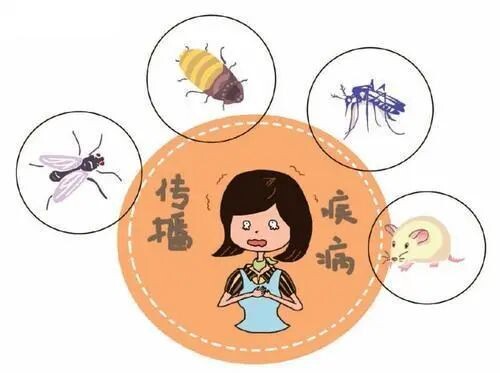 科普 | 病媒生物和病媒生物防制-1.jpg