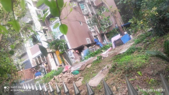 四季花城又要干大事，城管大队都管不到的大事！！-1.jpg
