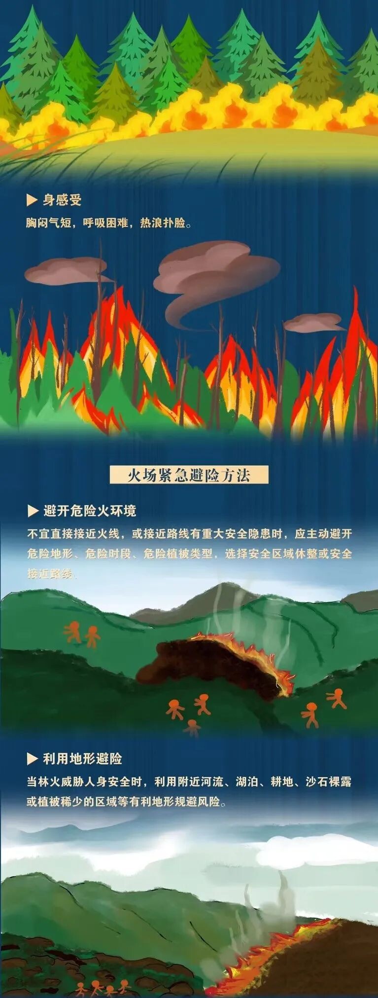 应急科普 | 遇到森林火灾避险攻略必掌握-2.jpg