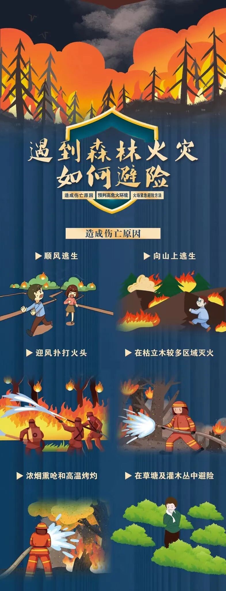 应急科普 | 遇到森林火灾避险攻略必掌握-1.jpg