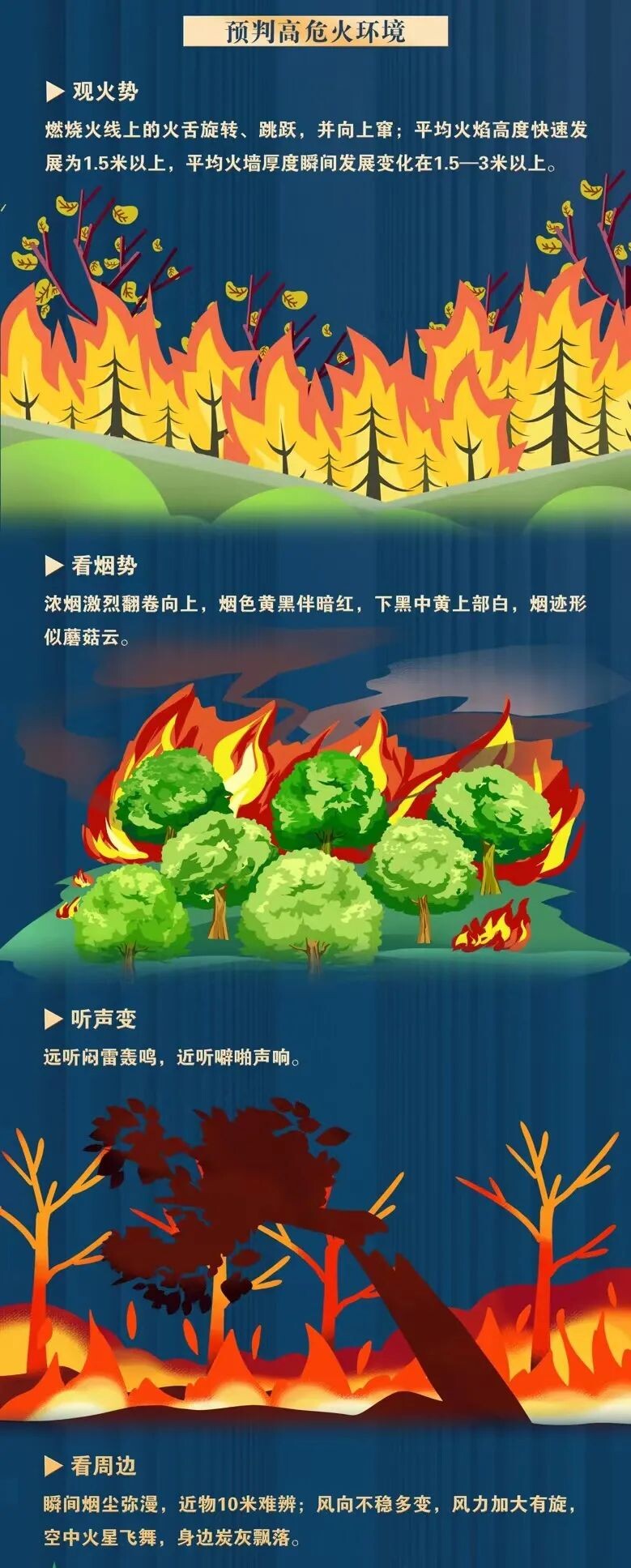 应急科普 | 遇到森林火灾避险攻略必掌握-3.jpg