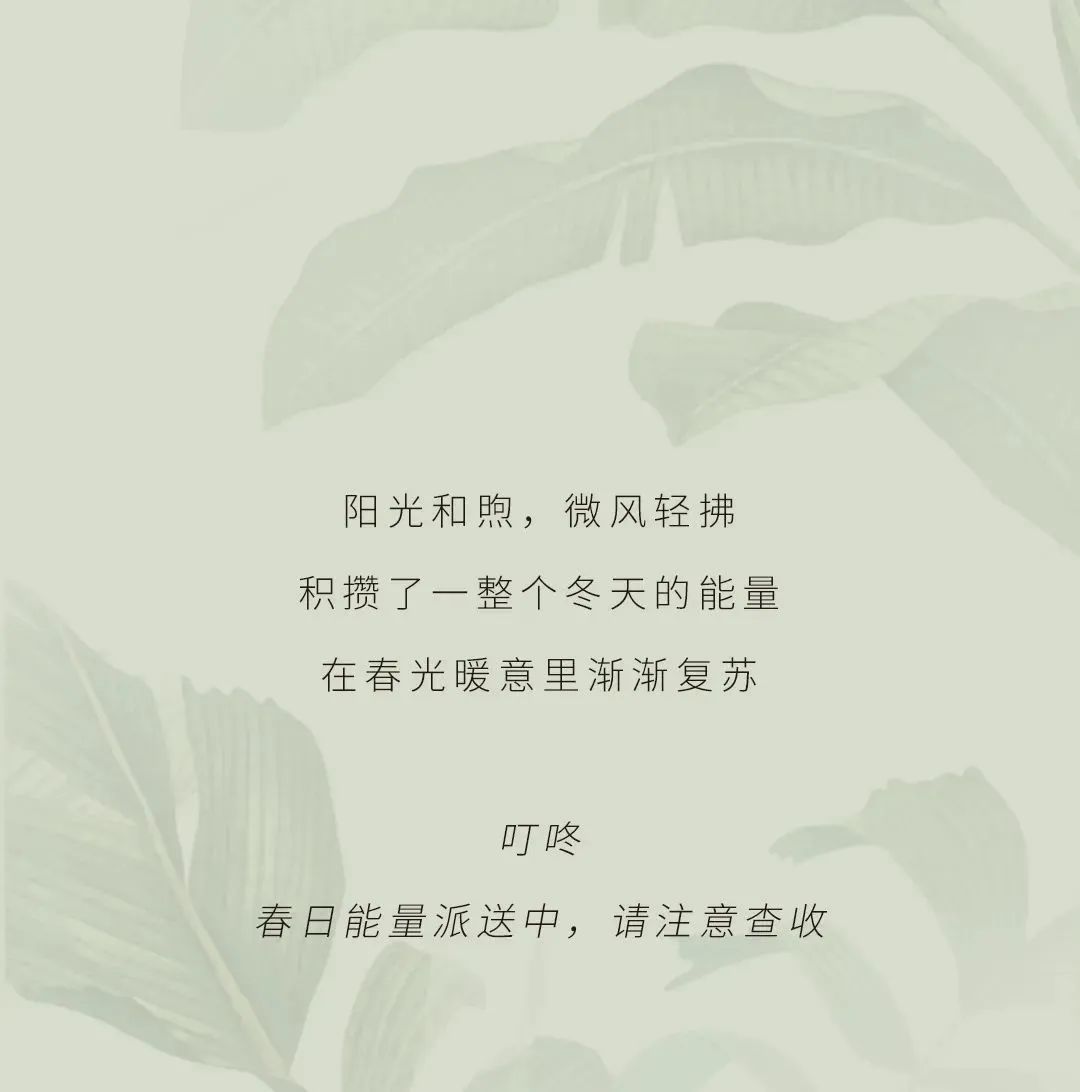 bacb2760e83524f190fed24ab4e4512d.jpg