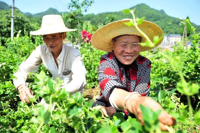 清明节后养老金上调通知要来？这九类人不能享受涨钱，真是遗憾-6.jpg