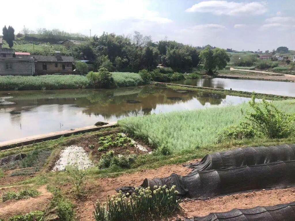内自同城 | 1天打来回！《内江钓小龙虾地图》新鲜出炉，现在就出发！-3.jpeg