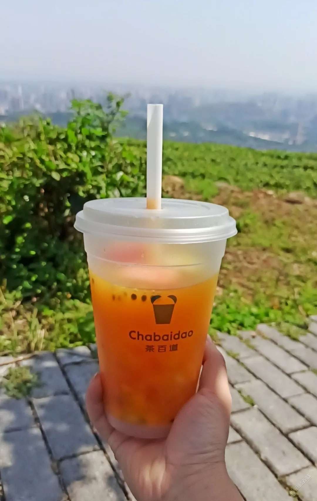 这巴适的晴天昂~-1.jpg
