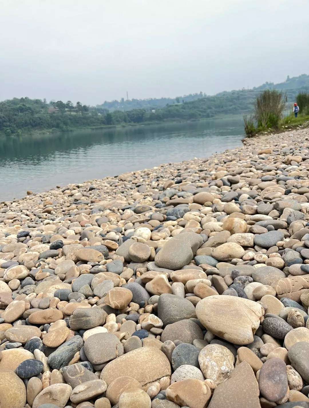 这么好的天气不野炊太可惜了-1.jpg