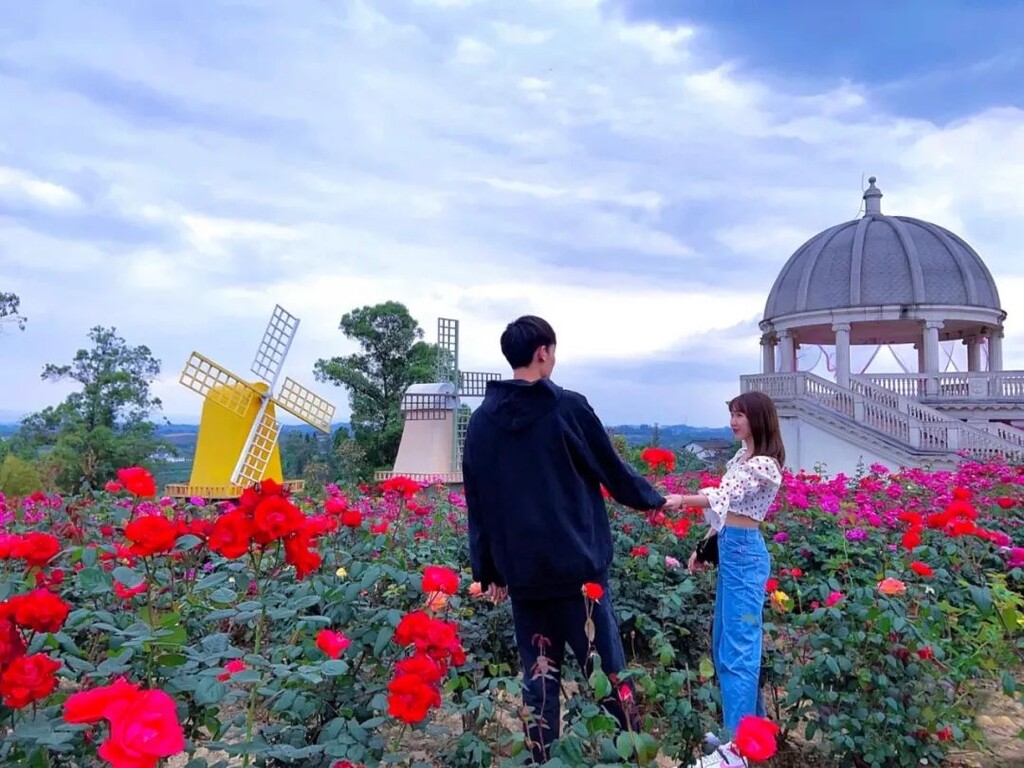 门票免费送！全国shou个花海撒欢乐园空降自贡！赏花+撒欢乐园全免费~-8.jpg