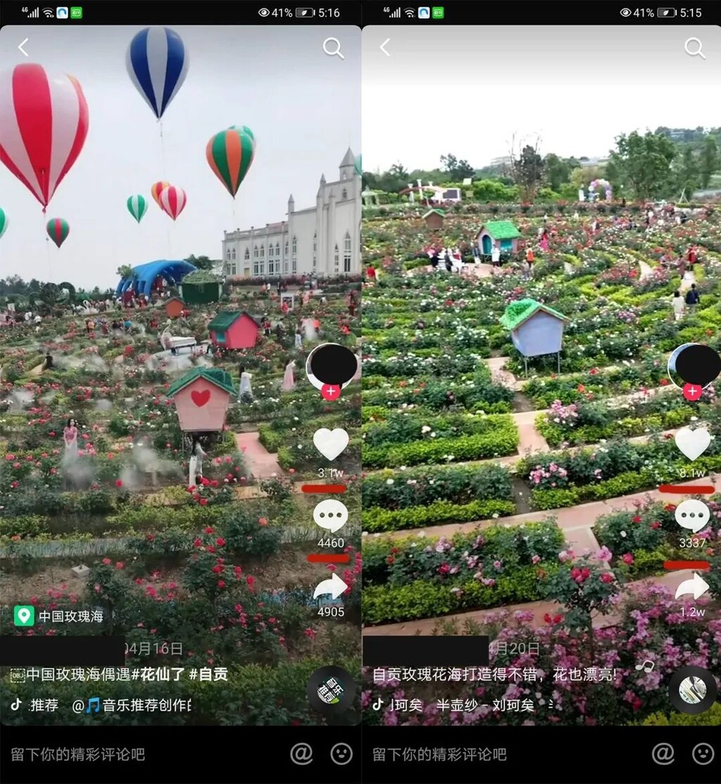 门票免费送！全国shou个花海撒欢乐园空降自贡！赏花+撒欢乐园全免费~-10.jpg