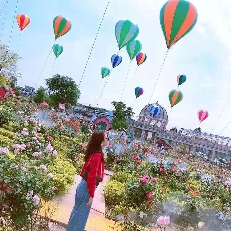 门票免费送！全国shou个花海撒欢乐园空降自贡！赏花+撒欢乐园全免费~-9.jpg
