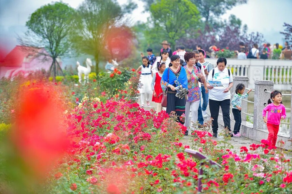 门票免费送！全国shou个花海撒欢乐园空降自贡！赏花+撒欢乐园全免费~-19.jpg