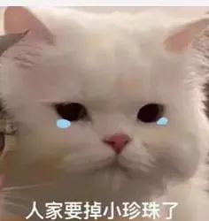 预约九价HPV疫苗被骗两次？小心上当！-2.jpg