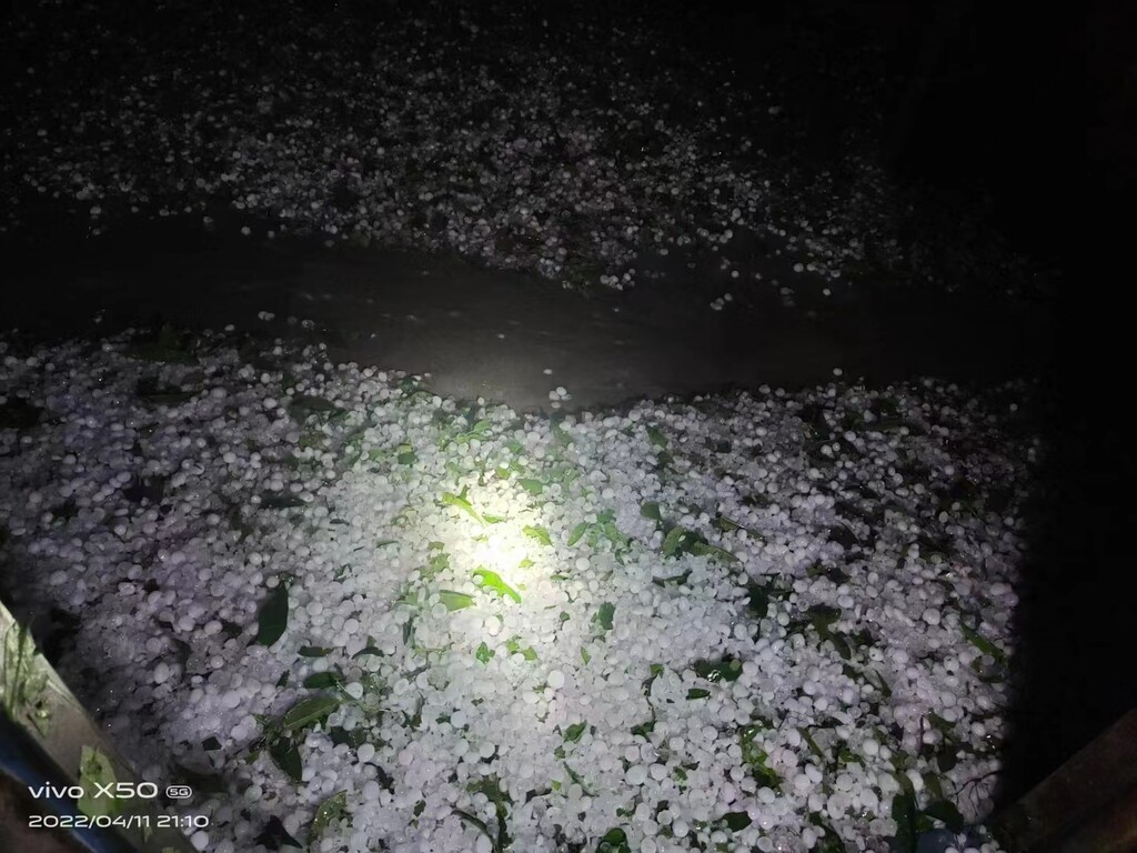 大风+雷雨+冰雹 自贡这波降雨来得有点陡！-2.jpg