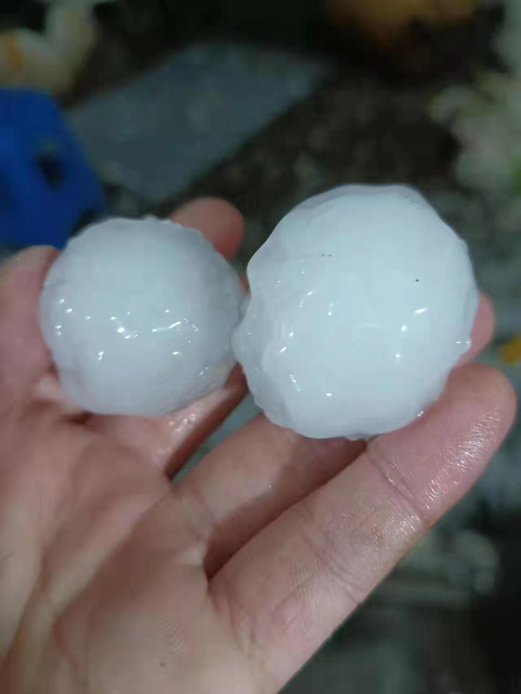 大风+雷雨+冰雹 自贡这波降雨来得有点陡！-3.jpg