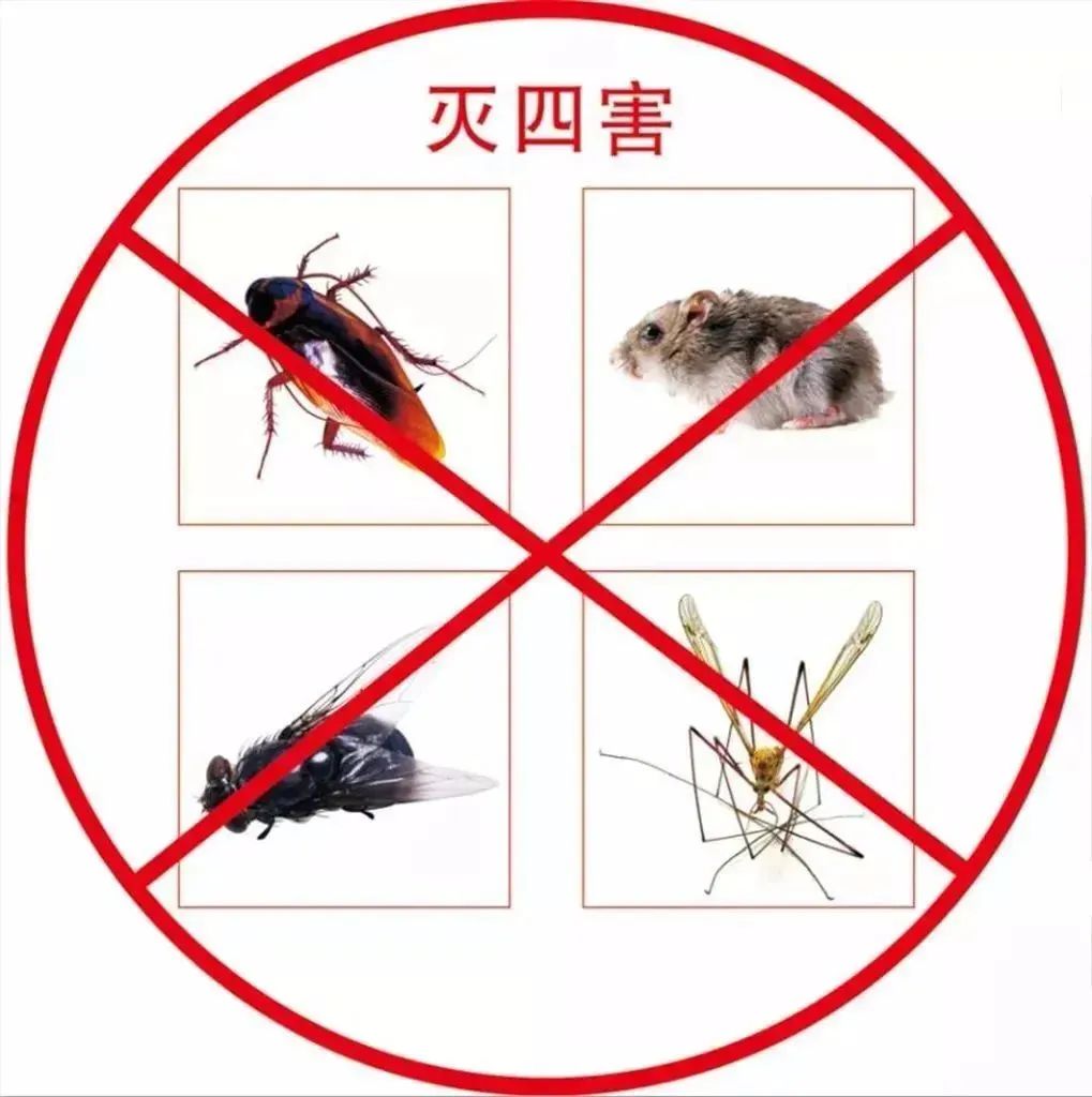 灭它！4月18日起，富顺将开始！-1.jpg