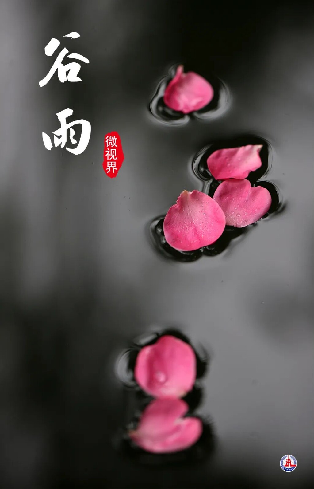 今日谷雨！-3.jpg