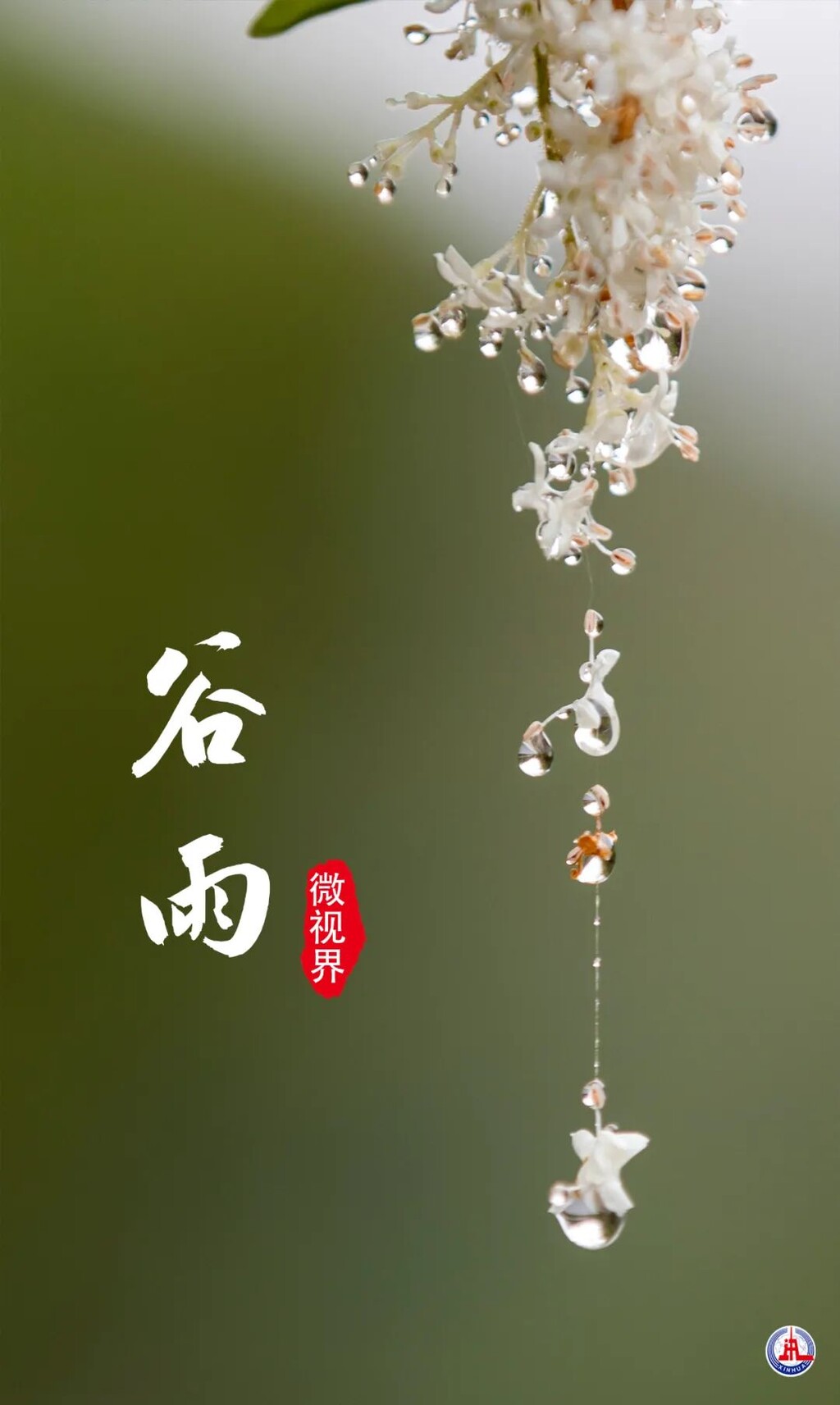 今日谷雨！-8.jpg