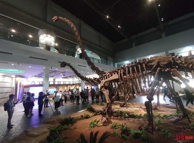自贡恐龙博物馆二号馆预计6月底开放：建筑面积超3000平方米，系恐龙探秘馆-2.jpg