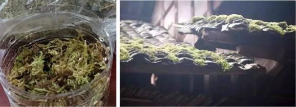 最新！国家航天局公布获奖名单！富顺这所学校2个项目上榜——-2.jpg