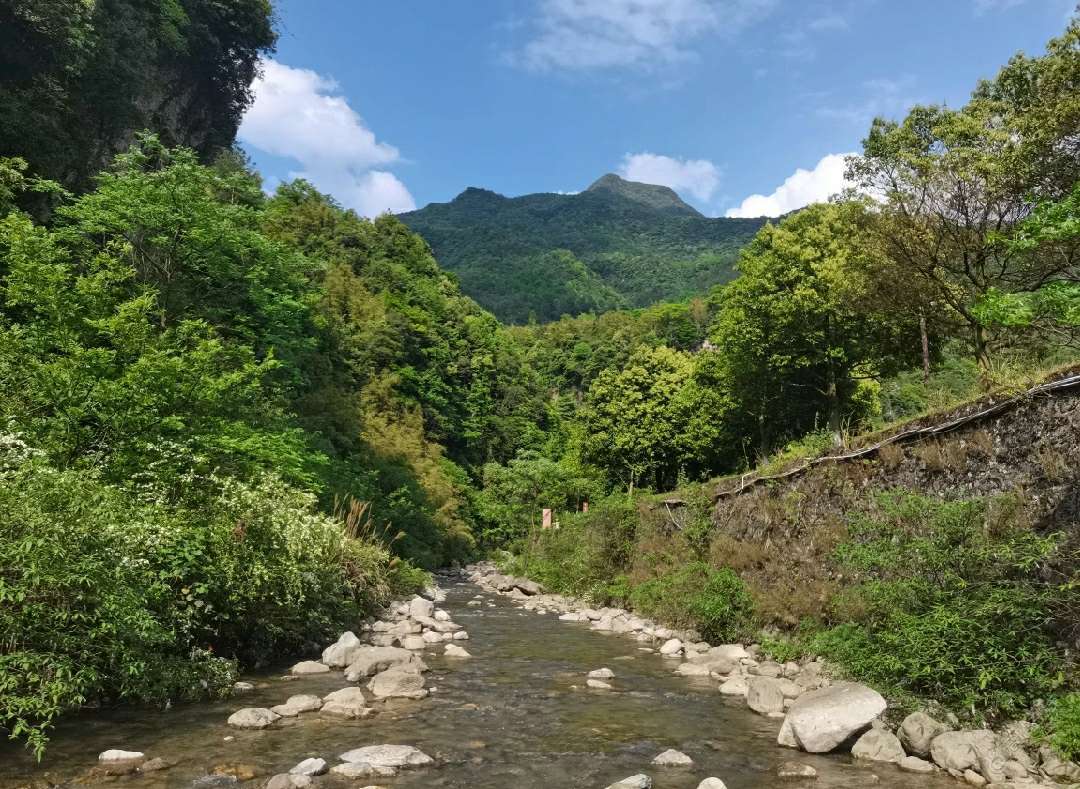 夏天就适合在河边耍-2.jpg