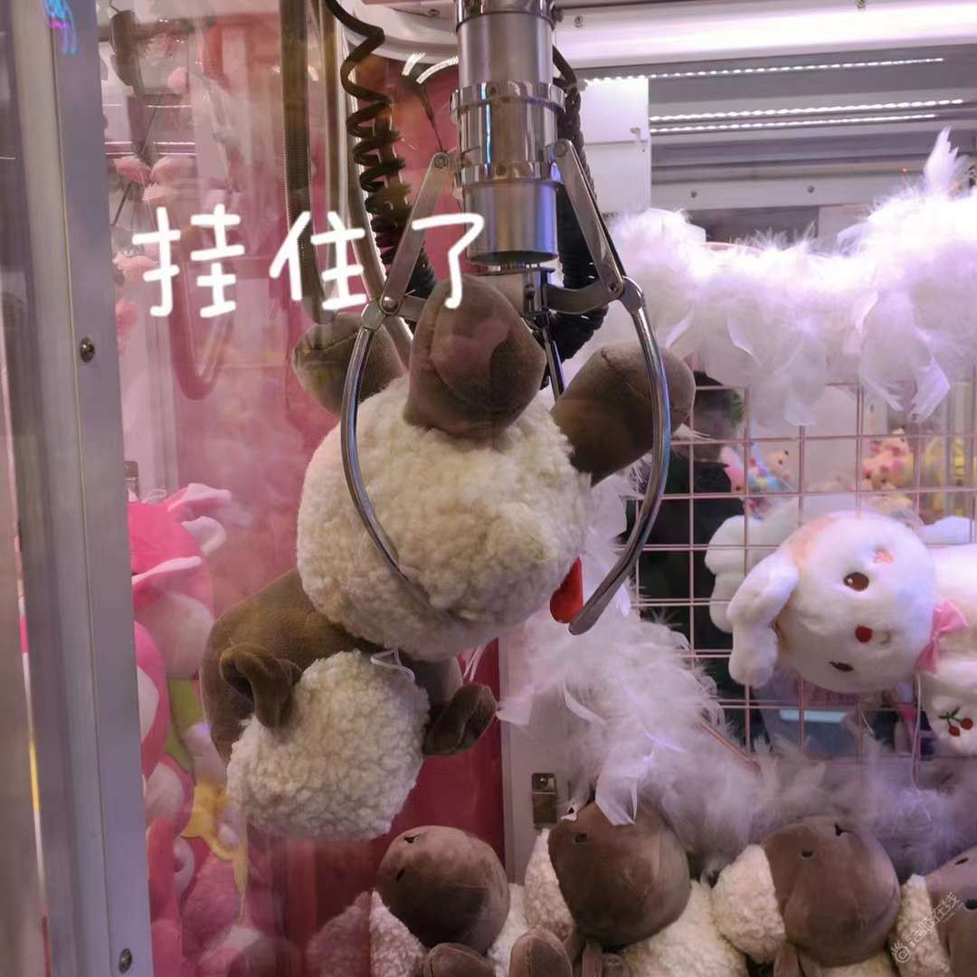 大家都抓到过几次娃娃？-1.jpg