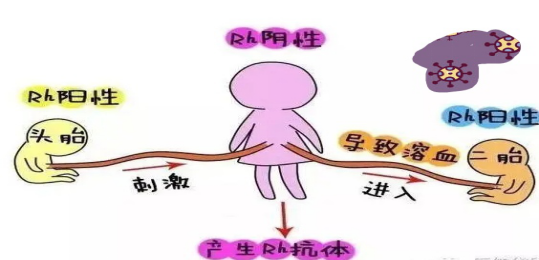 【富顺妇幼保健院】血型的奥秘，孕妇必看-5.jpg
