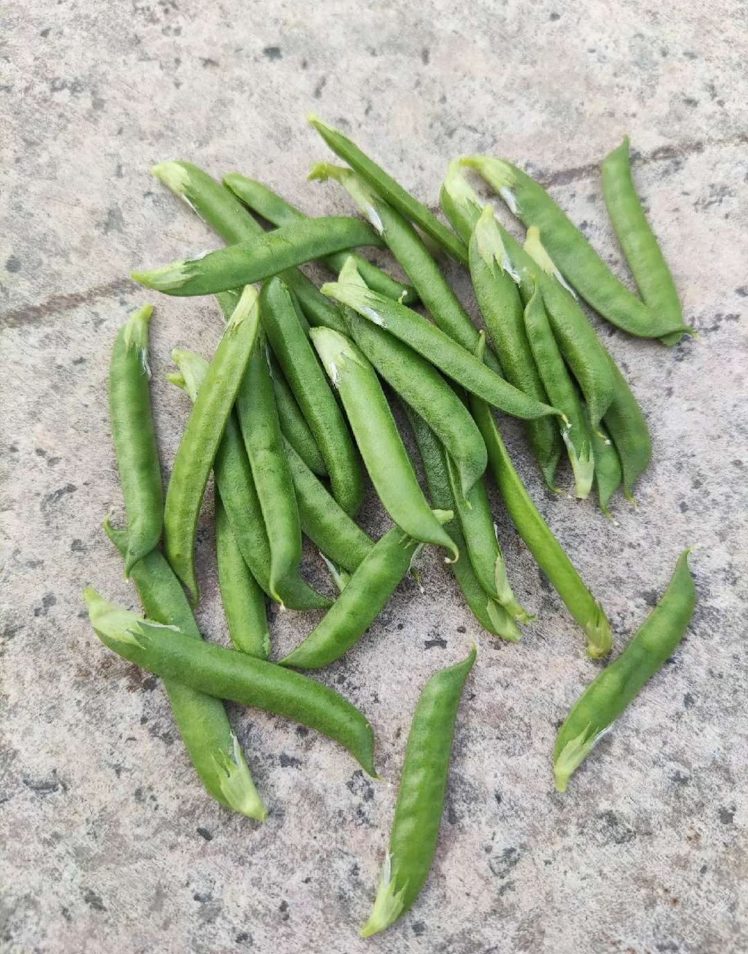 90后的朋友们小时候都会吹这个吧？-1.jpg
