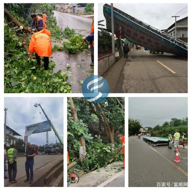 大风突袭富顺！广告牌、隔离栏、行道树成这样了……-7.jpg