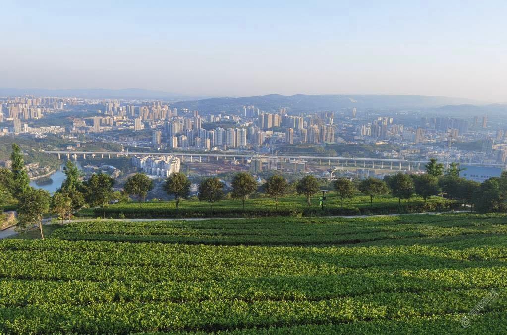 喜欢的风景惬意而浪漫-1.jpg
