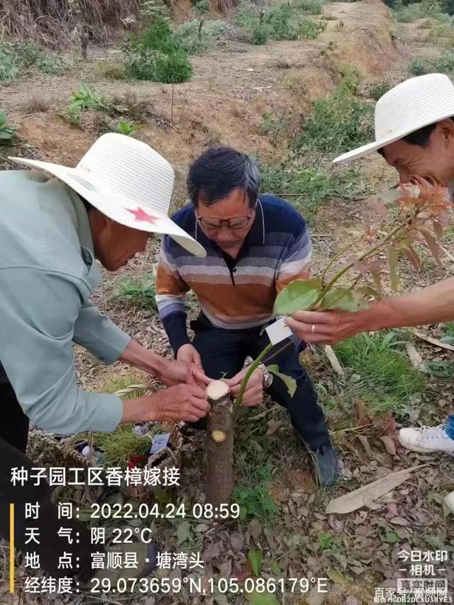 点赞！富顺1人获全国第二批“最美林草科技推广员”称号-3.jpg