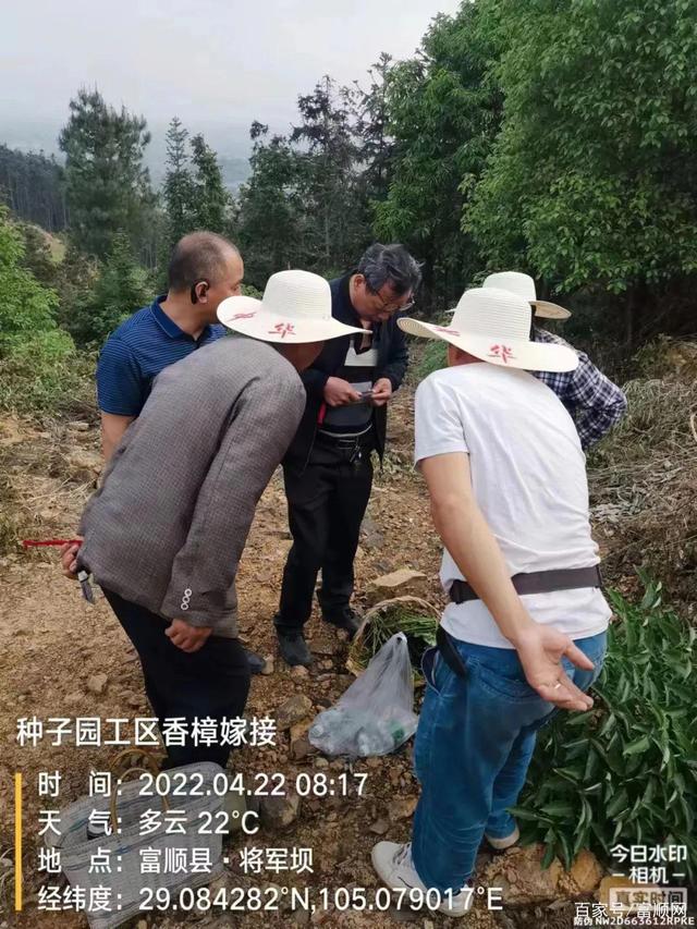 点赞！富顺1人获全国第二批“最美林草科技推广员”称号-5.jpg