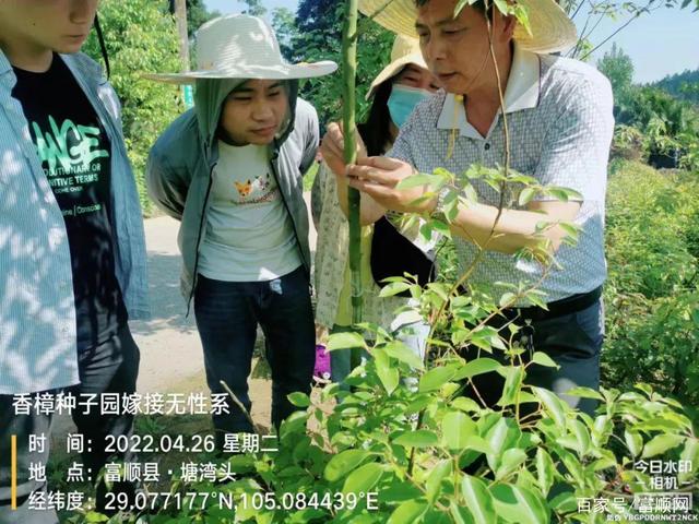 点赞！富顺1人获全国第二批“最美林草科技推广员”称号-6.jpg
