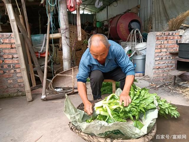 富顺上门女婿蒋定洪：34年坚强撑起风雨飘摇的家-4.jpg