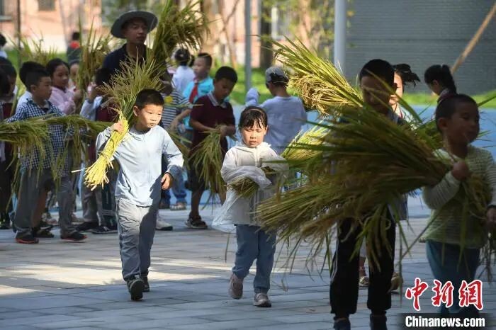 今年9月起，每个中小学生都要学煮饭炖汤、修理家电、种菜养禽……-1.jpg