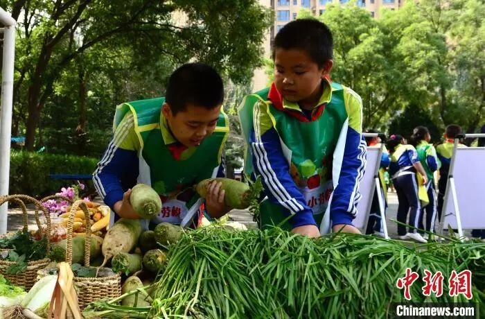 今年9月起，每个中小学生都要学煮饭炖汤、修理家电、种菜养禽……-4.jpg