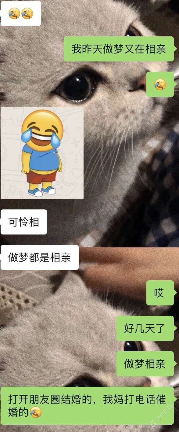被相亲支配的恐惧-1.jpg