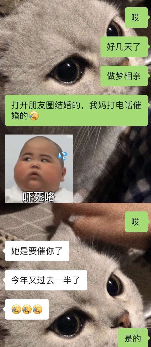 被相亲支配的恐惧-2.jpg