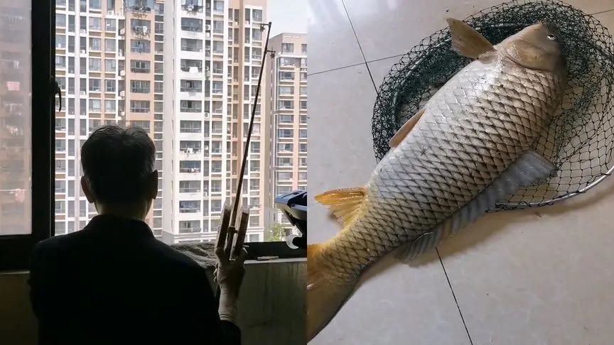 上海一大爷被封控1个月，在自家阳台钓江中8斤大鱼：江景房买值了-1.jpg