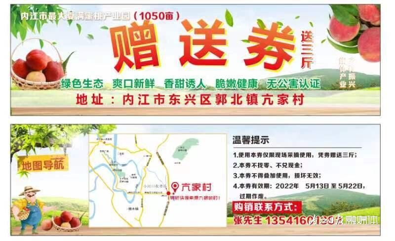 内自同城 | 内江东兴区这里的千亩夏满蜜桃等你来摘！-9.jpeg