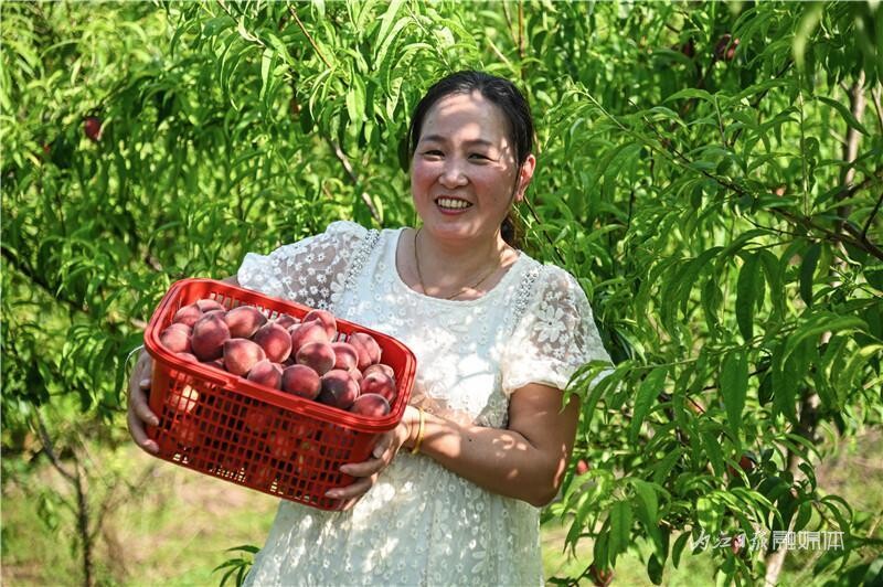 内自同城 | 一起冲，到内江这个千亩桃园摘桃去！-1.jpg