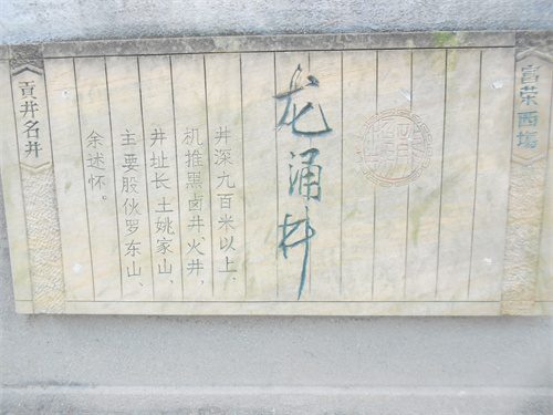 DSCN2201.jpg