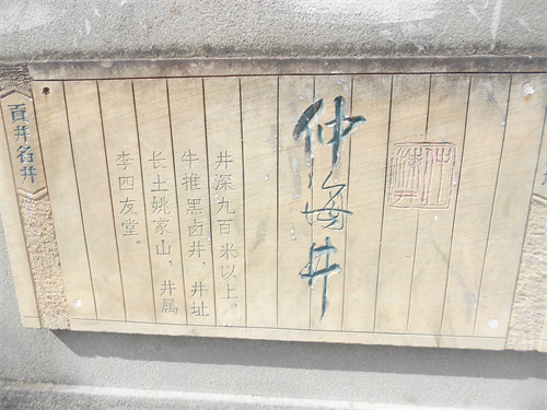 DSCN2240.jpg