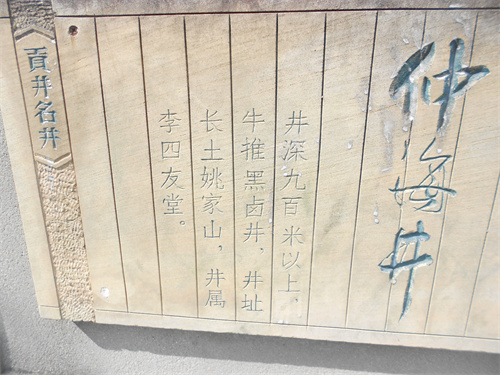 DSCN2241.jpg