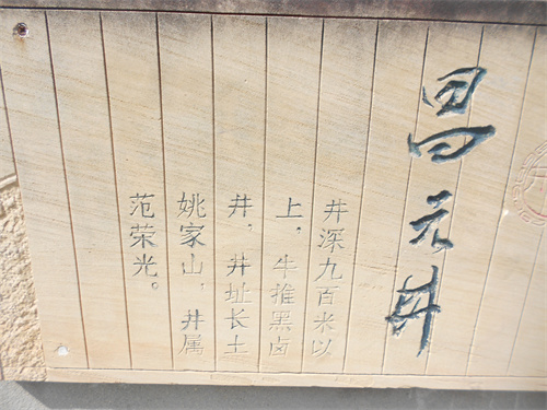 DSCN2242.jpg