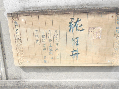 DSCN2246.jpg
